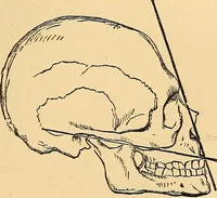 An illustration from Half-hour lectures on the history and practice of the fine and ornamental arts (1875)