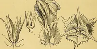 An illustration from Half-hour lectures on the history and practice of the fine and ornamental arts (1875)