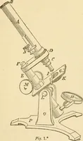 An illustration from Half-hours with the microscope; being a popular guide to the use of the microscope as a means of amusement and instruction (1863)