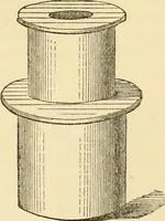 An illustration from Half-hours with the microscope; being a popular guide to the use of the microscope as a means of amusement and instruction (1863)