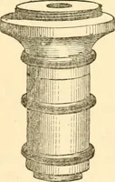 An illustration from Half-hours with the microscope; being a popular guide to the use of the microscope as a means of amusement and instruction (1863)