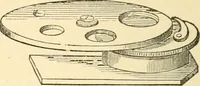 An illustration from Half-hours with the microscope; being a popular guide to the use of the microscope as a means of amusement and instruction (1863)