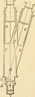 An illustration from Half-hours with the microscope; being a popular guide to the use of the microscope as a means of amusement and instruction (1863)