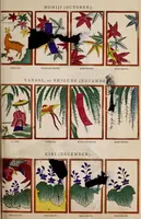 Picture 5 of 10 from Hana-awase (1891), leaf 157