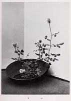 Picture 6 of 10 from Hana-awase (1891), leaf 173