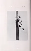 An illustration from Hana-awase (1891)