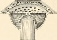 An illustration from Handbook for architects and builders (1898)