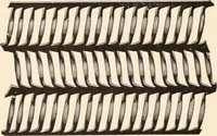 An illustration from Handbook for architects and builders (1898)