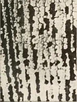 An illustration from Handbook for architects and builders (1898)