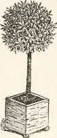 An illustration from Handbook for architects and builders (1898)