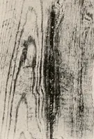 An illustration from Handbook for architects and builders (1898)