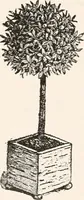 An illustration from Handbook for architects and builders (1898)