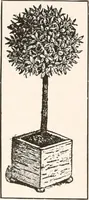 An illustration from Handbook for architects and builders (1898)