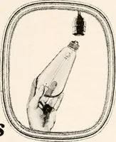 An illustration from Handbook for architects and builders (1898)