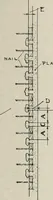 Picture 99 of 276 from Handbook for architects and builders (1898), leaf 256