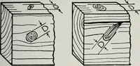 An illustration from Handbook for architects and builders (1898)