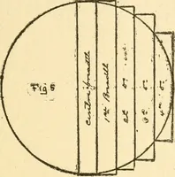 An illustration from Handbook for carpet measurers, cutters and salesmen (1905)