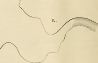 An illustration from A hand-book for mapping, engineering, and architectural drawing : in which maps of all descriptiosn are analyzed, and their several uses fully explained ; intended for the use of civil engineers, architects, and surveyors, also for naval and military academies, engineering schools and colleges, and draughtsmen ; illustrated with forty-three large plates and thirty-nine woodcuts, among which will be found examples of a parliamentary railway plan, section, and cross sections, prepared in compliance with the standing orders of the House of Commons ; with plain instructions for lithographing and zincographing maps and drawings, and an exposition of the relative cost and merits of engraving, lithographing, and zincographing (1846)