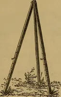 An illustration from Hand-book for the preservation of pictures; containing practical instructions for cleaning, lining, repairing, and restoring oil paintings, with remarks on the distribution of works of art in houses and galleries, their care and preservation (1876)