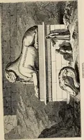 Picture 108 of 218 from Handbook of archaeology, Egyptian - Greek - Etruscan - Roman (1867), leaf 173