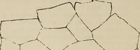 Picture 3 of 218 from Handbook of archaeology, Egyptian - Greek - Etruscan - Roman (1867), leaf 22