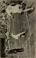 An illustration from Handbook of athletic games for players, instructors, and spectators, comprising fifteen major ball games, track and field athletics and rowing races (1916)