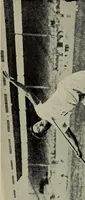 An illustration from Handbook of athletic games for players, instructors, and spectators, comprising fifteen major ball games, track and field athletics and rowing races (1916)