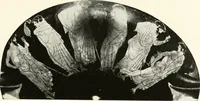 Picture 42 of 185 from A handbook of Attic red-figured vases signed by or attributed to the various masters of the sixth and fifth centuries B. C. (1919), leaf 84