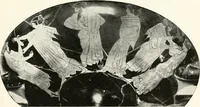 Picture 45 of 185 from A handbook of Attic red-figured vases signed by or attributed to the various masters of the sixth and fifth centuries B. C. (1919), leaf 86