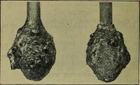 An illustration from Handbook of construction plant, its cost and efficiency (1914)