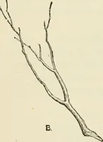 An illustration from Handbook of drawing (1880)
