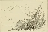 An illustration from Handbook of drawing (1880)