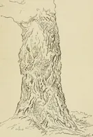 An illustration from Handbook of drawing (1880)
