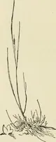 An illustration from Handbook of drawing (1880)