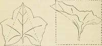 An illustration from Handbook of drawing (1880)