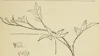 An illustration from Handbook of drawing (1880)