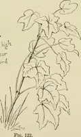 An illustration from Handbook of drawing (1880)