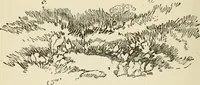 An illustration from Handbook of drawing (1880)