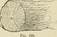 An illustration from Handbook of drawing (1880)