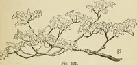 An illustration from Handbook of drawing (1880)