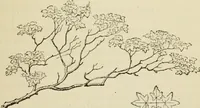 An illustration from Handbook of drawing (1880)