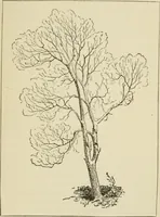 An illustration from Handbook of drawing (1880)