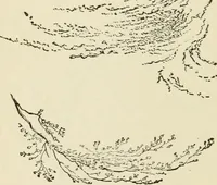 An illustration from Handbook of drawing (1880)