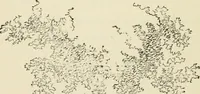An illustration from Handbook of drawing (1880)