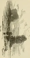 An illustration from Handbook of drawing (1880)