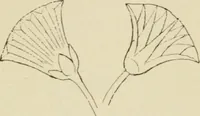 An illustration from Handbook of drawing (1880)
