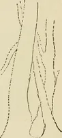 An illustration from Handbook of drawing (1880)