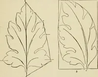 An illustration from Handbook of drawing (1880)