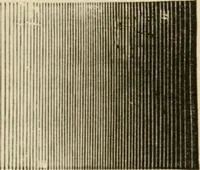 An illustration from Handbook of drawing (1880)