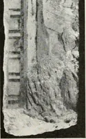 An illustration from A handbook of the Egyptian rooms .. (1918)